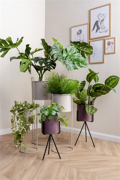 Цветочный горшок Essence 1247613002