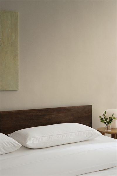 Наволочка из египетского хлопка 1306781001