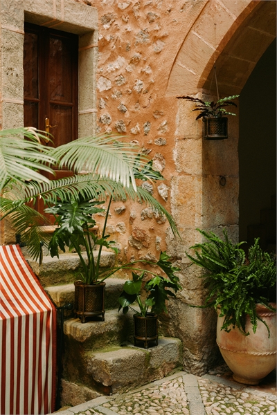 Большой горшок для растений из ротанга 1283299002