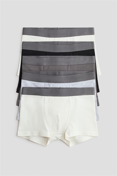 Плавки в упаковке из 5 штук 0589520053