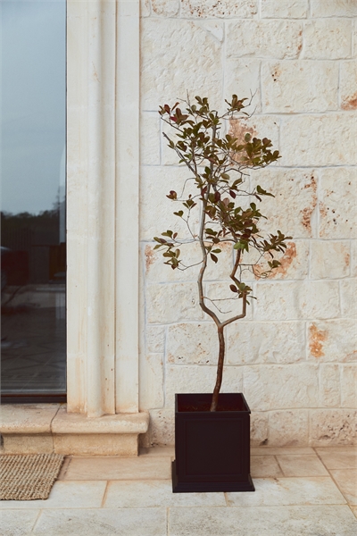 Металлическое кашпо артикул 0958811001