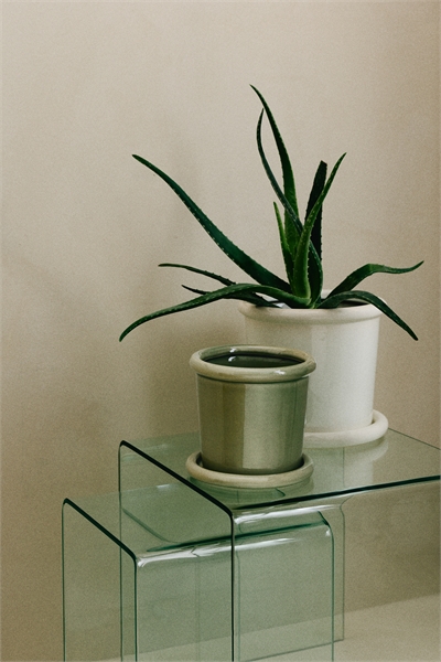 Глиняный горшок с поддоном артикул 1308999001