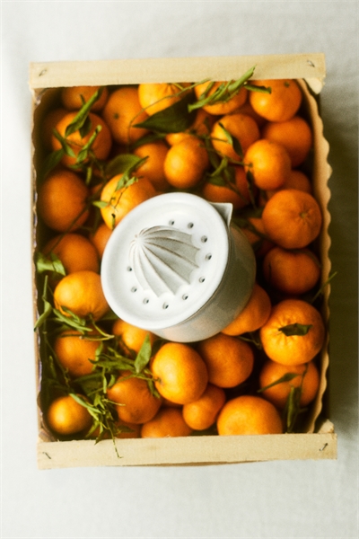 Соковыжималка для лимонов с реактивной глазурью артикул 1309328001