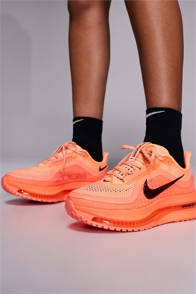 Кроссовки Pegasus Premium артикул 149998022