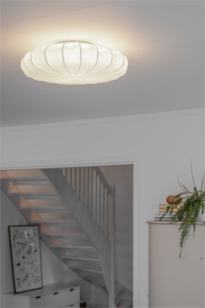 Потолочный светильник Franza артикул 1060052001