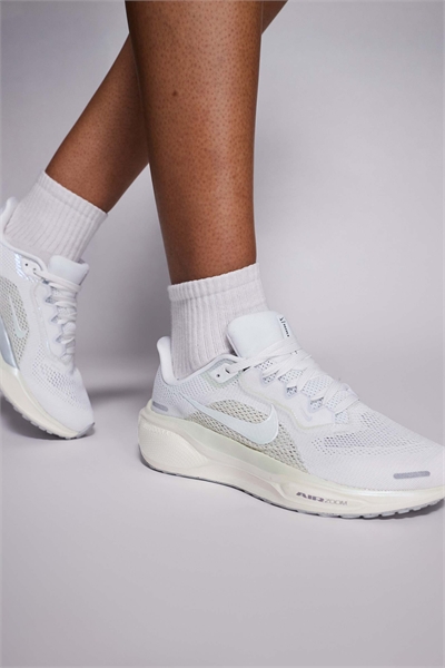 Тренеры Pegasus 41 артикул 149998026