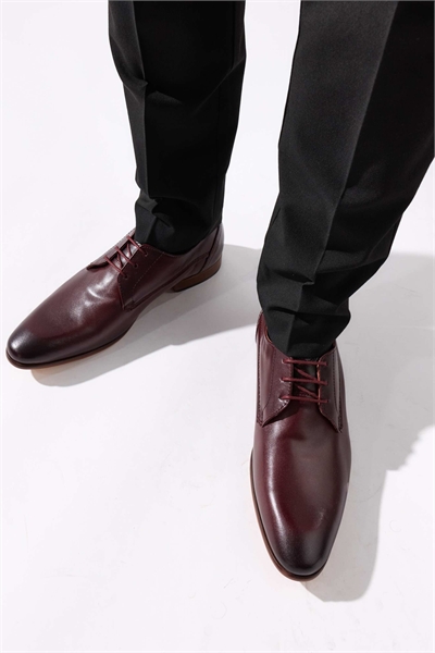 Туфли-дерби Gambino на шнурках артикул 155479031