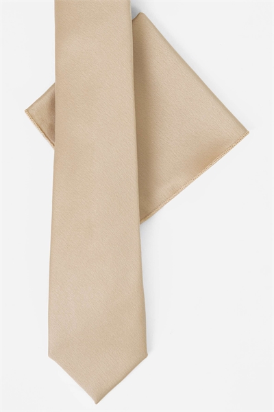 Набор из атласного галстука и нагрудного платка артикул 150023753