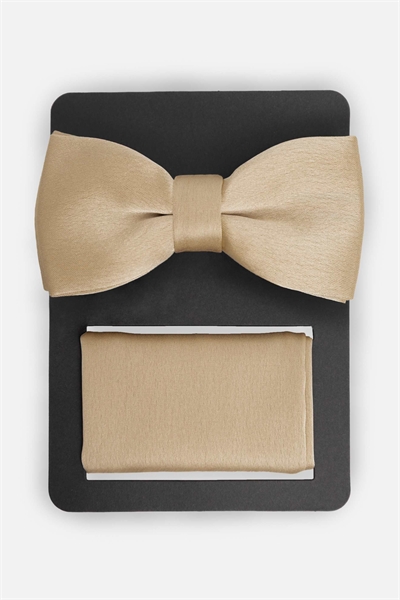 Набор из атласного галстука-бабочки и нагрудного платка артикул 154610508