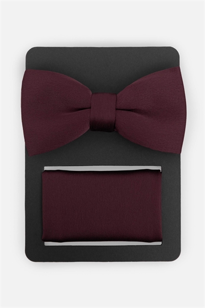 Набор из атласного галстука-бабочки и нагрудного платка артикул 154610058