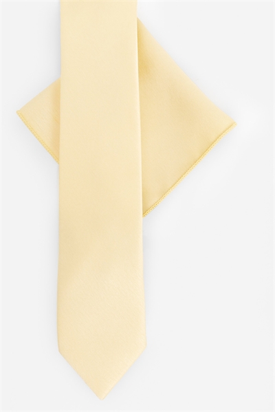 Набор из атласного галстука и нагрудного платка артикул 154590833