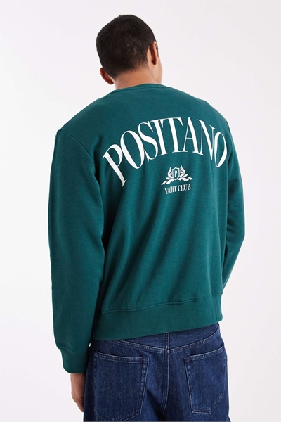 Толстовка с рисунком на спине «Позитано» артикул 150045296