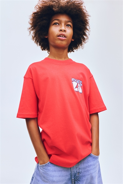 Свободная футболка с принтом артикул 1324030004