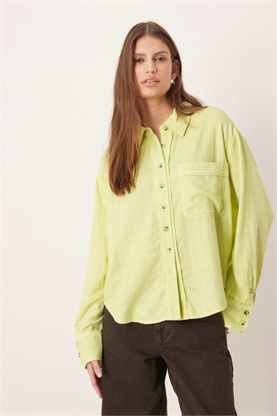 Верхушка лаврового дерева с обильным листьем, раннецветущая, желтого цвета артикул 154232063