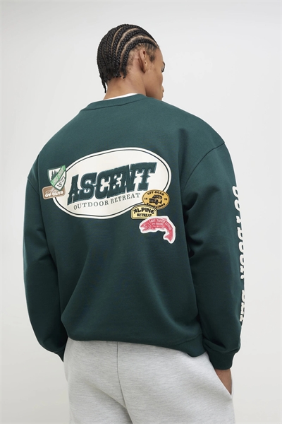 Свитшот с альпийским логотипом свободного кроя артикул 155040518