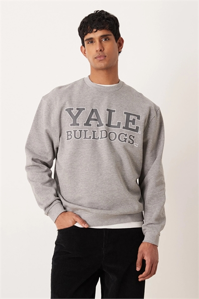 Универсальная толстовка свободного кроя с принтом Йельского университета артикул 153725664