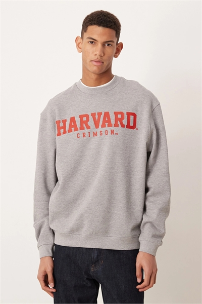 Универсальная толстовка свободного кроя с принтом Гарварда артикул 153725686