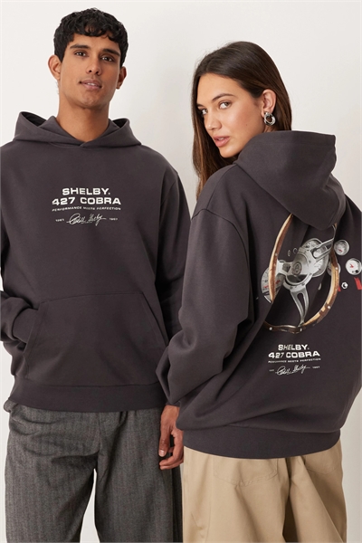 Универсальная толстовка свободного кроя с принтом в виде колеса Cobra артикул 150343096