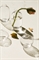 Мини-ваза из прозрачного стекла - Фото 12461210