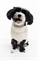 Джемпер для собак с узором кабельной вязки - Фото 12471092