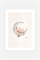 Постер с изображением спящего на луне кролика - Фото 12483849