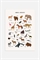 Плакат с алфавитом животных - Фото 12483875