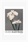 Постер Белый ирис Кадзумасы - Фото 12496952