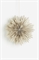 Бумажный абажур в форме звезды - Фото 12503693