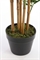 Бамбуковое искусственное растение - Фото 12522301