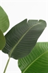 Искусственное растение Банановое дерево 1250938001 - Фото 12674893