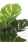 Искусственное растение Монстера 1160770001 - Фото 13242554