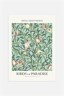 Зеленый постер Birds Of Paradise 1292631001 - Фото 13274044