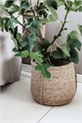 Плетеное кашпо Korb Plant 1227493001 - Фото 13542544
