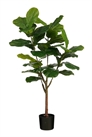 Искусственное растение Ficus Lyrata 1305969001 - Фото 13587734