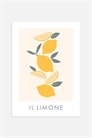 Плакат Il Limone 1179331001 - Фото 13875501