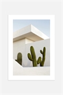 Постер Дом с кактусами 1149857001 - Фото 13897440