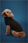 Джемпер для собаки из тонкой вязки артикул 1244137006