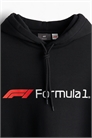 Толстовка Regular Fit Formula 1 0846933164 - Фото 13926704
