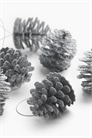Рождественские украшения из 6 сосновых шишек 1299133002 - Фото 13950888