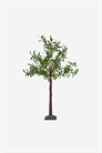 Декоративное дерево Olivec 120 см 1230173001 - Фото 13954506