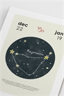 Зодиакальный постер 1336630007 - Фото 13986005