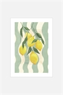 Типография Violets — Полосатые лимоны артикул 1357891001