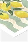 Типография Violets — Полосатые лимоны артикул 1357893001