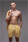 Курортные плавки с завязками на талии, комплект с желтыми полосками артикул 154159310