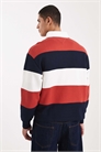Свитер в стиле регби с логотипом в виде полосатого флага артикул 151338442