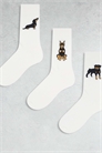 Набор из 3 пар носков с изображением собаки артикул 147196894
