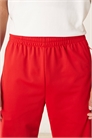 Спортивные штаны Firebird артикул 149627268
