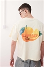 Унисекс футболка прямого кроя с фруктовым принтом в маслянисто-желтом цвете артикул 147829945