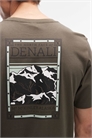 Футболка с принтом на спине «Денали» артикул 154426513