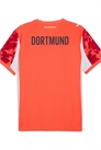 Футболка вратаря «Боруссии» (Дортмунд) сезона 2025/2026 артикул 152286471